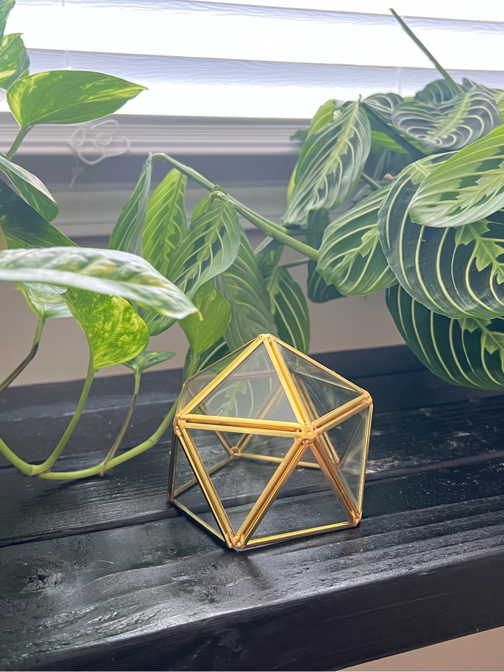 Set of 2 Gold Geometric Glass Terrarium - Home Accents
